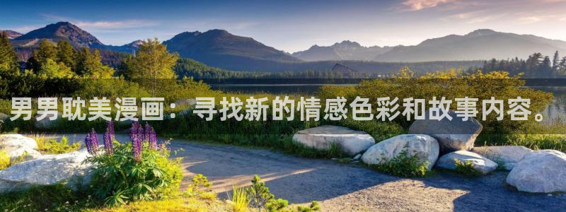 羞羞漫画成年：男男耽美漫画：寻找新的情感色彩和故事内容。